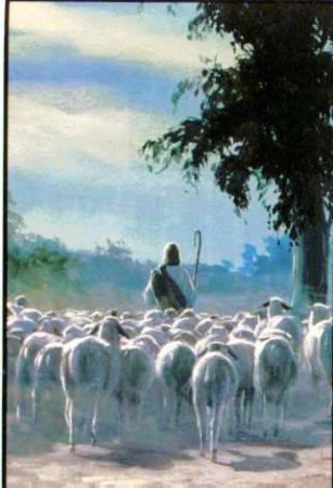 Juan 10, 1 ¶ DE cierto, de cierto os digo: El que no  entra por la puerta en el corral de las ovejas, mas sube  por otra parte, el tal es ladrón y robador. 2 Mas el que entra por la puerta,  el pastor de las ovejas es. 3 A éste abre el portero, y las ovej
